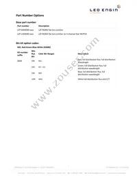 LZP-04MD00-0000 Datasheet Page 2