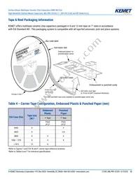 M3253502E1Z102JZMB Datasheet Page 13