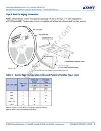 M3253505E2X225KZMB Datasheet Page 13