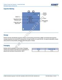 M550B257K100AA Datasheet Page 9