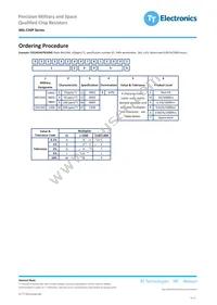 M55342E12B22B6R Datasheet Page 3