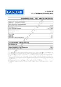 MAN3980A Datasheet Page 2