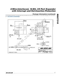 MAX7318AUG+TG069 Datasheet Page 17