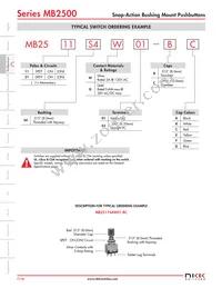 MB2511JG01 Datasheet Page 3