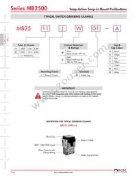 MB2511JG01 Datasheet Page 9