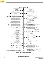 MC56F8156VFVE Datasheet Page 12