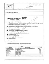 MGLS-24064-C-HV-G-LED3G Datasheet Page 4