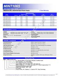 MINT1065B2475C01 Datasheet Page 2