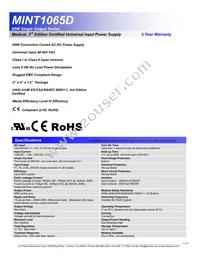 MINT1065D2475C01 Datasheet Cover