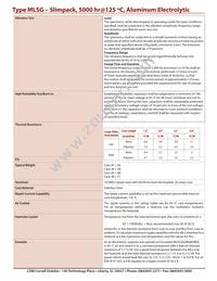 MLSG381M250JB0C Datasheet Page 2