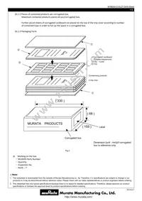 MYBEA01210CZTB Datasheet Page 13