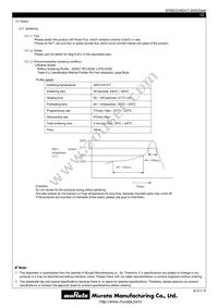 MYBSC0128CABT Datasheet Page 12