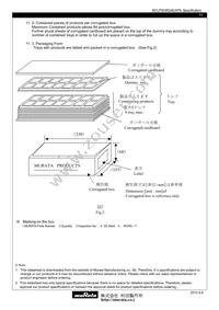 MYLPW3R34EAFN Datasheet Page 11