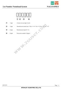 NAG131SPH-F Datasheet Page 11