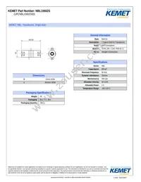 NBL15602S Datasheet Cover