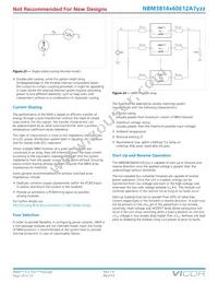 NBM3814V60E12A7T00 Datasheet Page 20