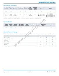 NBM6123T60E12A7T0R Datasheet Page 4