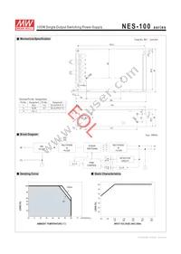 NES-100-9 Datasheet Page 2