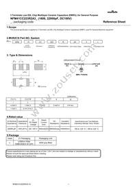 NFM41CC223R2A3L Datasheet Cover