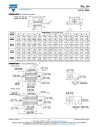 NH250250R0FJ01 Datasheet Page 2