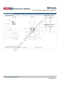 NKE1209DC Datasheet Page 6