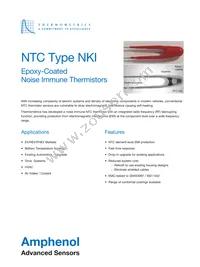 NKI10NF103C1R1E Datasheet Cover