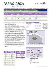 NLS110-9602 Datasheet Page 2