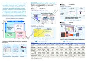 NN30195A-VB Datasheet Page 2