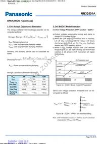 NN30501A-VB Datasheet Page 19