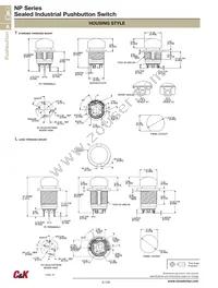 NP8S4T2W4QE Datasheet Page 3