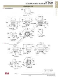 NP8S4T2W4QE Datasheet Page 4