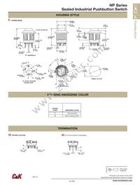 NP8S4T2W4QE Datasheet Page 6