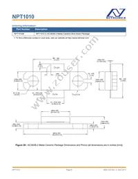 NPT1010B Datasheet Page 9