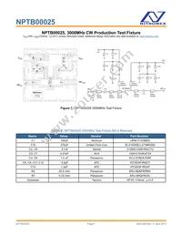 NPTB00025B Datasheet Page 4