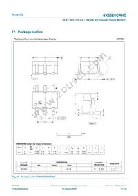 NX6020CAKSX Datasheet Page 17