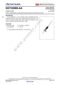 NX7539BB-AA-AZ Datasheet Cover