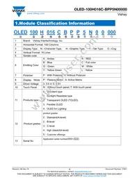 O100H016CBPP5N0000 Datasheet Page 3