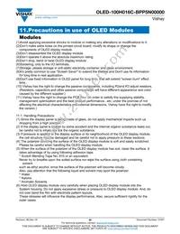 O100H016CBPP5N0000 Datasheet Page 20