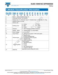 O100H016CGPP5N0000 Datasheet Page 3