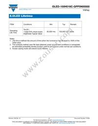 O100H016CGPP5N0000 Datasheet Page 11