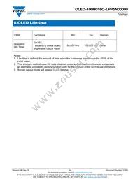 O100H016CLPP5N0000 Datasheet Page 11