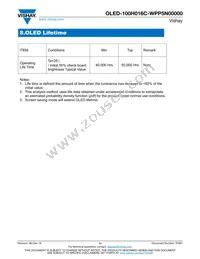 O100H016CWPP5N0000 Datasheet Page 11