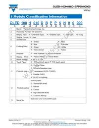 O100H016DBPP5N0000 Datasheet Page 3