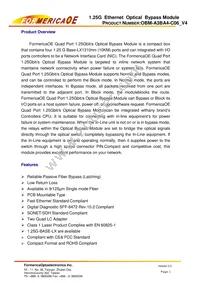 OBM-A3BA4-C06 Datasheet Page 2