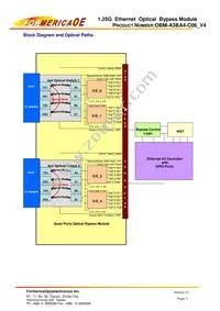 OBM-A3BA4-C06 Datasheet Page 3