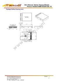 OBM-A3CB4-C06 Datasheet Page 13