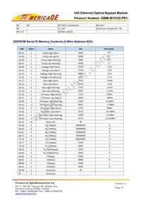OBM-B1CH2-P01 Datasheet Page 13