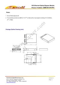 OBM-B1CH4-P01 Datasheet Page 11