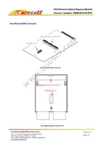 OBM-B1CH4-P01 Datasheet Page 12