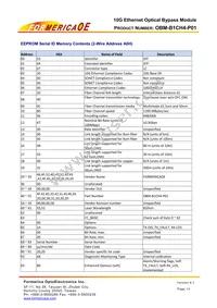 OBM-B1CH4-P01 Datasheet Page 13